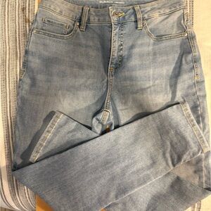 Style & Co. Denim Blue Skinny Jeans